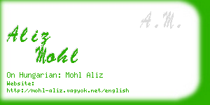 aliz mohl business card